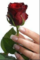 mesle to